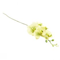 položky Orchidea Umelá žltá Zelená Phalaenopsis 85cm