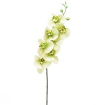 položky Orchidea Umelá žltá Zelená Phalaenopsis L83cm