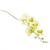 položky Orchidea Umelá žltá Zelená Phalaenopsis L83cm