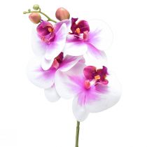 položky Orchidea Umelá Phalaenopsis 4 kvety Biela Ružová 72 cm
