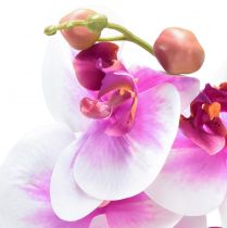 položky Orchidea Umelá Phalaenopsis 4 kvety Biela Ružová 72 cm
