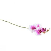 položky Orchidea Umelá Phalaenopsis 4 kvety Biela Ružová 72 cm
