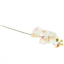 položky Orchidea Phalaenopsis umelé 6 kvetov krémovo ružové 70cm