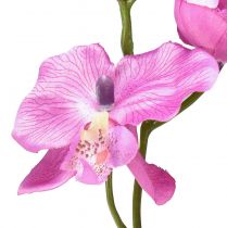 položky Orchidea Phalaenopsis umelá 6 kvetov fialová 70cm