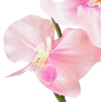 položky Orchidea Phalaenopsis umelé 6 kvetov ružové 70cm