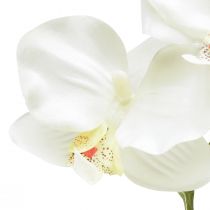 položky Orchidea Phalaenopsis umelé 6 kvetov biela krémová 70cm