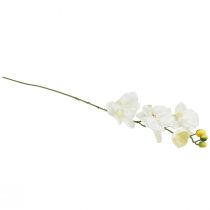 položky Orchidea Phalaenopsis umelé 6 kvetov biele krémové 70cm