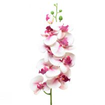položky Orchidea Phalaenopsis umelé 9 kvetov biela fuchsiová 96cm
