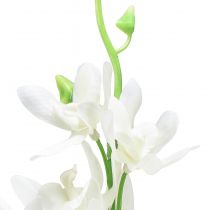položky Orchidey umelé Oncidium umelé kvety biele 90cm