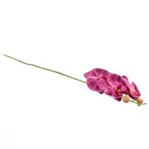 položky Orchidea flambovaná umelá Phalaenopsis fialová 72cm