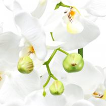 položky Umelé orchidey do kvetináča biele 80cm