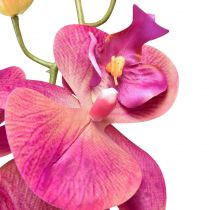 položky Umelá orchidea Phalaenopsis Orchid Fuchsia 78cm