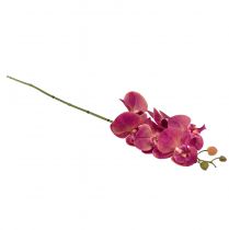 položky Umelá orchidea Phalaenopsis Orchid Fuchsia 78cm