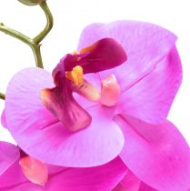 položky Umelá orchidea Phalaenopsis Orchid Pink 78cm