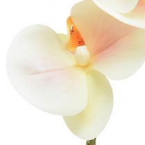 položky Umelá orchidea krémová pomarančový Phalaenopsis 78cm