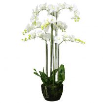 položky Orchidea biela na guli 118cm