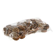 položky Palm Male Nature 25 ks