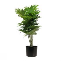 položky Palmový dekoračný vejár palmové umelé rastliny črepník zelený 80cm