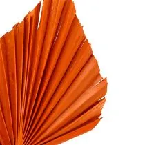 položky Palmspear Orange 65 ks