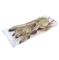 položky Palmové oštepy triedené Maroko 30 ks