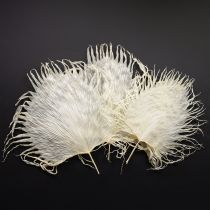 položky Palmové listy sušené dekoratívne bielené 45 cm 5 ks