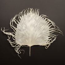 položky Palmové listy sušené dekoratívne bielené 45 cm 5 ks