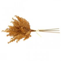 položky Umelá pampová tráva oranžová suchá tráva 35cm 4ks