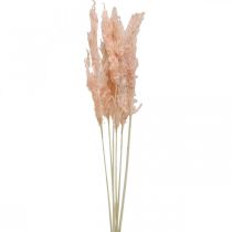 položky Sušená pampová tráva ružové sušené kvety prírodná dekorácia 65-75cm 6ks
