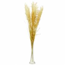 položky Pampas Grass Yellow Umelá okrasná tráva Suché kvety 3ks