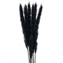 položky Pampasová tráva čierna sušená suchá dekorácia L72cm 6ks