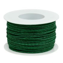 položky Papierová šnúra omotaná drôtom Ø2mm 100m zelená