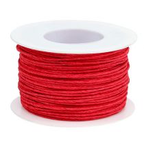 položky Papierová šnúra omotaná drôtom Ø2mm 100m červená