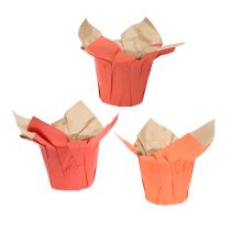 Kvetináč papierový oranžový/červený Ø8cm 12ks
