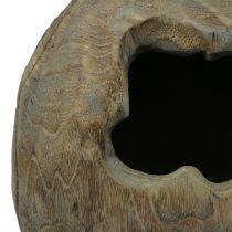 položky Dekoratívna socha rastlinná guľa z dreva paulovnia V68cm