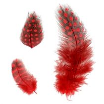 položky Perličky, pravé perie, červené, 5 cm, 30 g