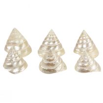 položky Matka perla Spinning Slimák Dekorácia Morský slimák 5–6cm 6 ks