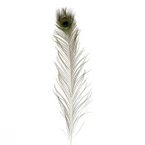 Dekorácia pávie perie pravé vtáčie perie dlhé 70cm 16ks