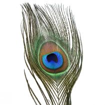 položky Dekorácia pávie perie pravé vtáčie perie dlhé 70cm 16ks
