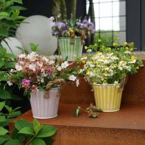 položky Kovový črepník, jarná dekorácia, kvetináč s rúčkami Yellow Shabby Chic Ø18cm V17,5cm