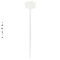 položky Rastlinný štítok 36cm 10ks.