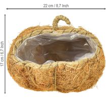 položky Kôš na rastliny tekvica jesenná dekorácia oranžová Ø22cm V17cm