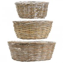 položky Sada 3 prútených košov, kvetináčov, dekoratívnych košov, bielo lakovaný vintage štýl, Ø21,5/26/31 cm pre domácnosť a záhradu