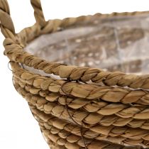 položky Kôš na rastliny okrúhly košík z morskej trávy s rúčkami ozdobný košík Ø25cm V9cm