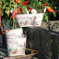 položky Kvetináč kvetináč okrúhly kovový Fresh Garden H21cm