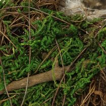 položky Miska na výsadbu lodných popínavých rastlín a machu 31 × 17 × 6 cm