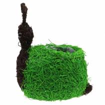 položky Kvetináč Slimák vinič prírodný, zelený 21x14cm V26cm