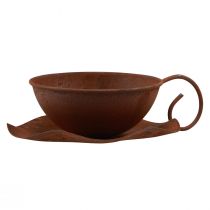 položky Rastlinná šálka s podšálkou vintage rust Ø17,5cm V6cm