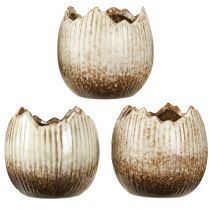 položky Rastlinný črepník Keramické vajíčko Broken Cream Brown Ø9,5cm 3 ks