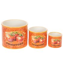 položky Sada kvetináčov na paradajky, keramické dekoratívne kvetináče do kuchyne a retro dekorácie, 14 cm, sada 3 kusov