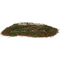 položky Malá miska Plant Wave Vines s machom 31 × 15 × 7 cm